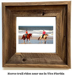 horse trail rides near me in Tice, Florida